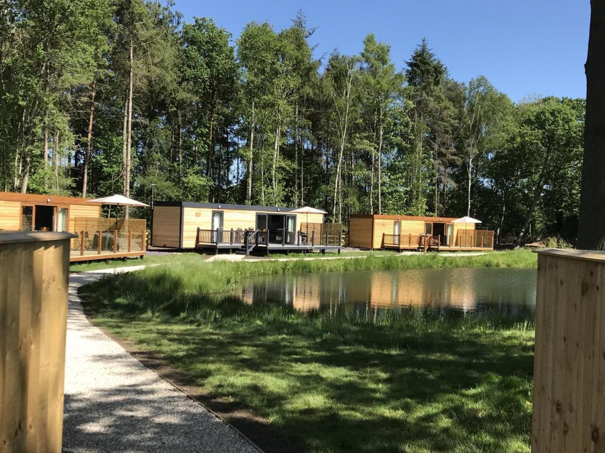 Rowan Boutique Lodge For Couples With A Dog ヨーク エクステリア 写真