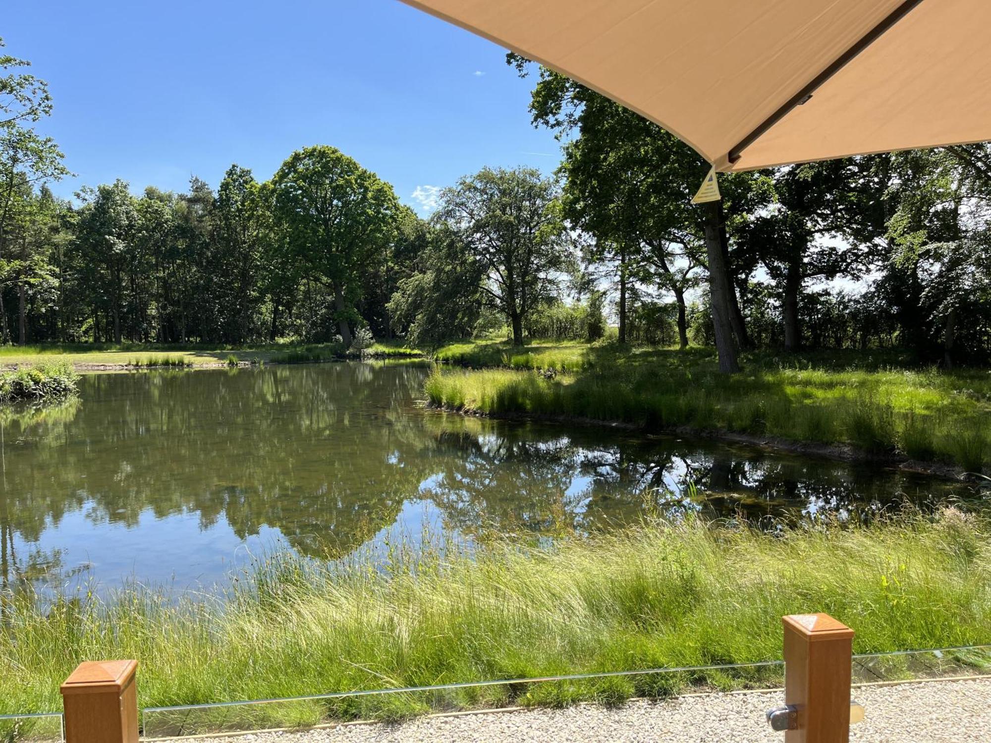 Rowan Boutique Lodge For Couples With A Dog ヨーク エクステリア 写真